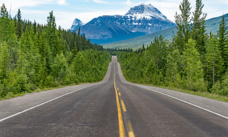 The icefields parkway